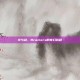 火与剑，Braziers的奇幻旅程