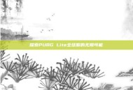 探索PUBG Lite全球服的无限可能