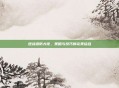 逆战塔防大佬，策略与技巧的完美结合