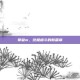 拳皇m，终极格斗的新篇章