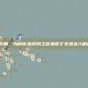 热血无赖，为何你的游戏之路遭遇了无法进入的困境？