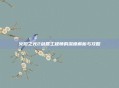 火炬之光2剑盾工程师的深度解析与攻略