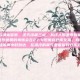 我是一名缉毒警察，这天凌晨三点，从线人那里得到确切消息，有个代号迷雾的毒贩会在27-4号废弃仓库交易。我和搭档老周提前两小时到达，在湿冷的雾气里匍匐到仓库后墙