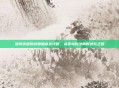 洛奇英雄传杖娘加点全攻略,从菜鸟到法神的进阶之路