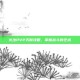 火法PVP天赋攻略，掌握战斗的艺术