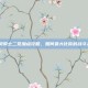 精灵骑士二觉加点攻略，如何最大化你的战斗力？