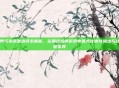 男气功武器选择全解析，在角色扮演游戏中最大化属性输出与战意发挥
