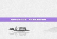 暗夜将至游戏攻略，揭开神秘黑暗的面纱