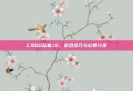CSGO玩家JS，游戏技巧与心得分享