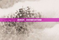 匣里龙吟，游戏攻略与技巧揭秘