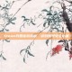 Steam找回密码指南，游戏账号安全必备