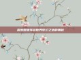 探索暖暖环游世界梦幻之塔的奥秘