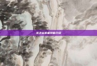 龙之谷贤者技能介绍