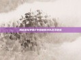 揭秘星际争霸2中隐藏的小队名字秘密