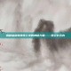 揭秘仙剑奇侠传七中的神秘力量——葛云衣五内
