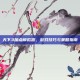 天下3加点模拟器，游戏技巧与策略指南