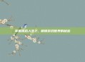 掌握模拟人生2，解锁游戏世界的秘密