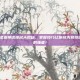 DNF男柔道神话排名大揭秘，掌握技巧让你成为竞技场上真正的强者！