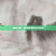 狼神之怒，剑灵世界的不灭传说