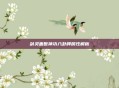剑灵盖世神功八卦牌属性解析