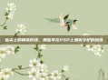 指尖上的钢铁防线，那些年在PSP上通宵守护的炮塔