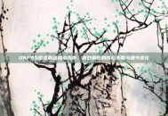DNF95版本刷图加点指南，高效刷图的核心策略与细节优化