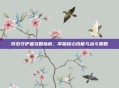 符石守护者攻略指南，掌握核心技能与战斗策略