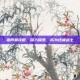 祖阿曼攻略，深入探索，成为终极战士
