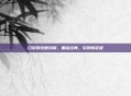口袋妖怪复刻版，重启经典，引领新征程