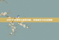 DNF手游圣骑士加点攻略，职业优化与实战策略