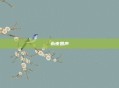 永夜回声