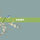 永夜回声