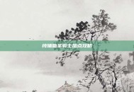 纯辅助圣骑士加点攻略