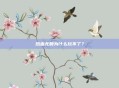 热血无赖为什么玩不了？