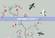 热血无赖为什么玩不了？