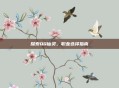 探索QQ仙灵，职业选择指南