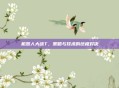 机器人大战T,策略与技术的终极对决