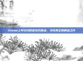 Steam上可玩性低配游戏盘点，寻找真正的精品之作
