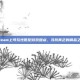 Steam上可玩性低配游戏盘点，寻找真正的精品之作