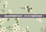 揭秘游戏界的薅羊毛高手，月入20万的秘诀与陷阱