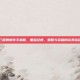 三国群侠传手机版，重温经典，策略与英雄的完美结合