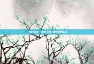 三国志12，策略与技巧的完美融合