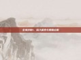 全境封锁1,深入探索与策略运用