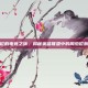 周杰伦的电竞之旅，揭秘英雄联盟中的周杰伦粉丝团