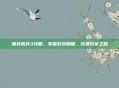 重装机兵3攻略，掌握游戏精髓，成就玩家之路