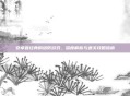 安卓最经典的塔防游戏，深度解析与通关攻略指南