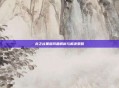 龙之谷黑屏问题解析与解决策略