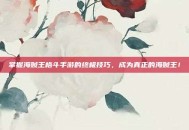 掌握海贼王格斗手游的终极技巧，成为真正的海贼王！
