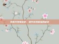掌握天罗输出宏,提升游戏体验的秘诀