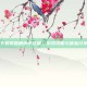 下载罪恶都市中文版，游戏攻略与体验分享
